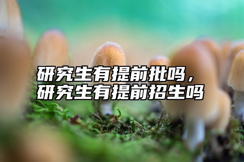 研究生有提前批吗,研究生有提前招生吗