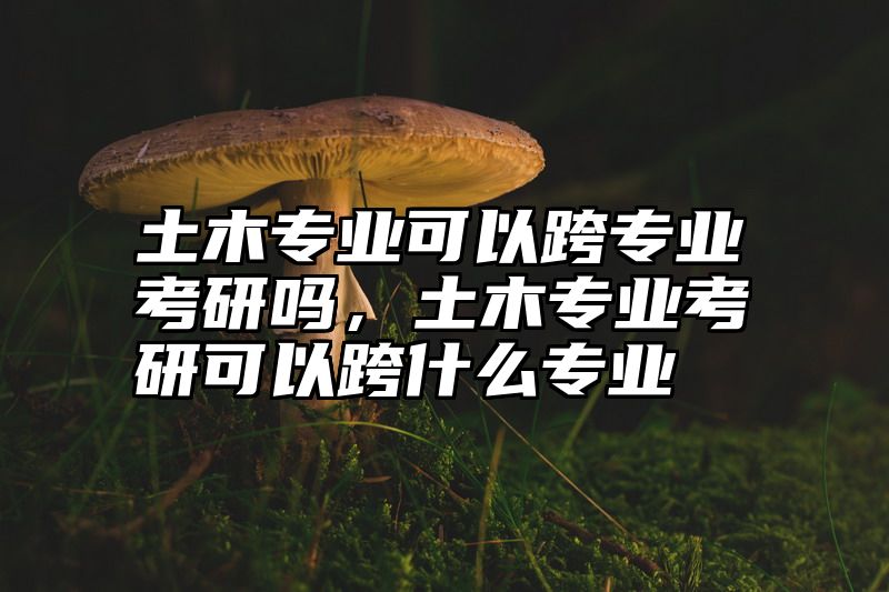 点击查看《土木专业可以跨专业考研吗，土木专业考研可以跨什么专业》全文