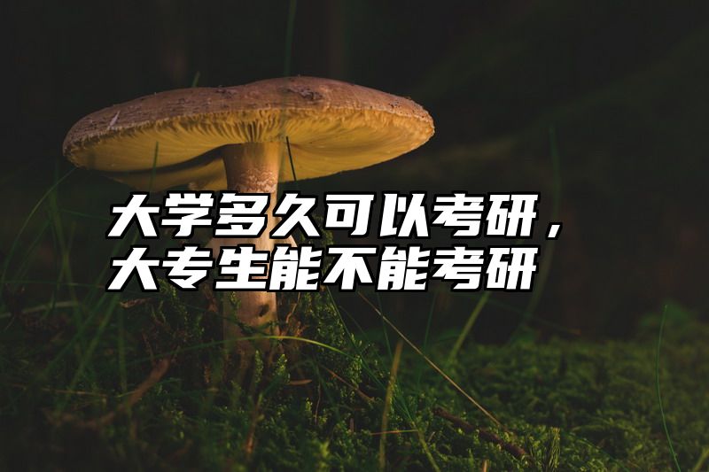 大学多久可以考研，大专生能不能考研