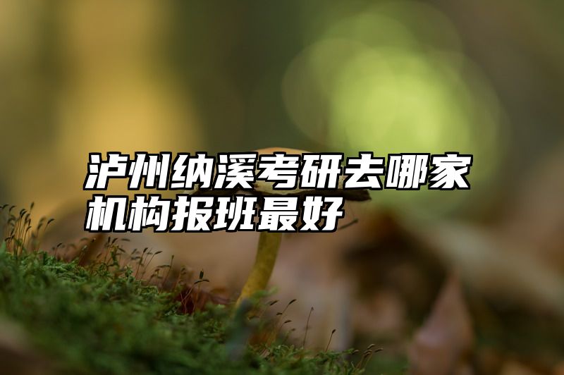 泸州纳溪考研去哪家机构报班最好