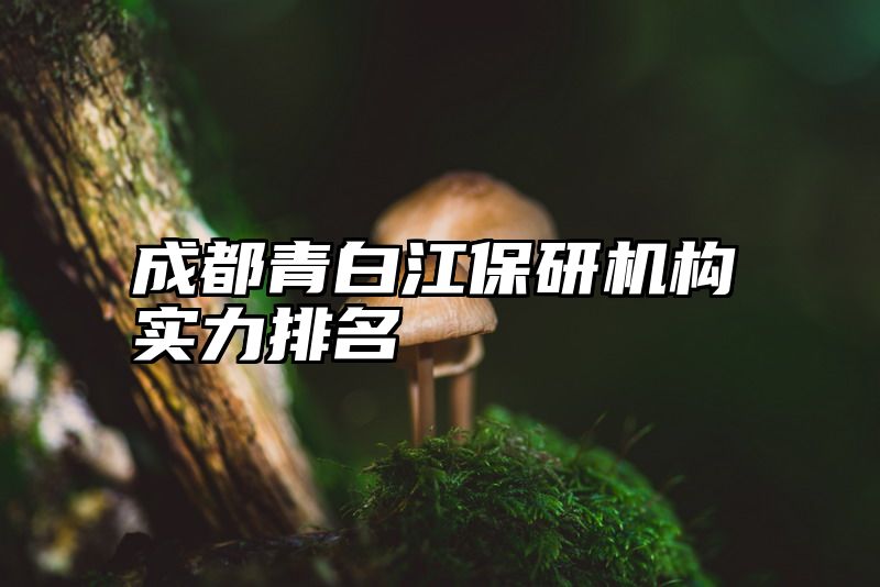 成都青白江保研机构实力排名