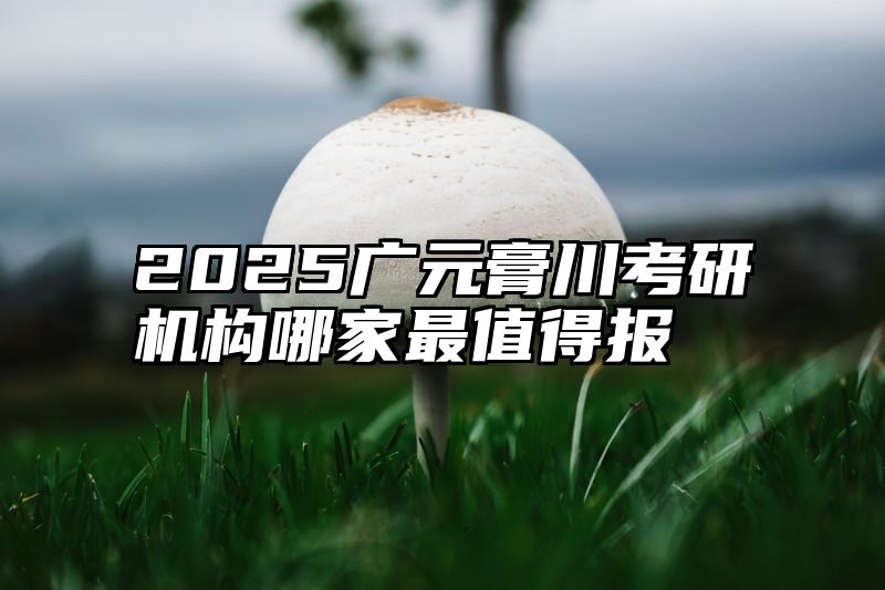2025广元膏川考研机构哪家最值得报