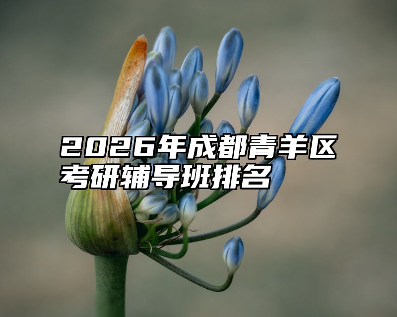 2026年成都青羊区考研辅导班排名