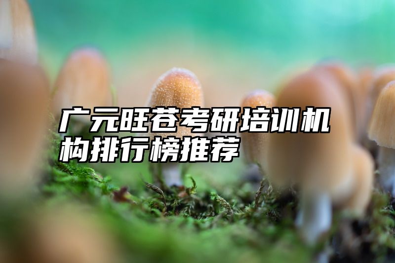 广元旺苍考研培训机构排行榜推荐
