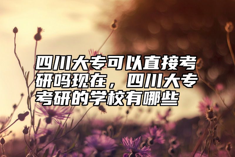 四川大专可以直接考研吗现在,四川大专考研的学校有哪些