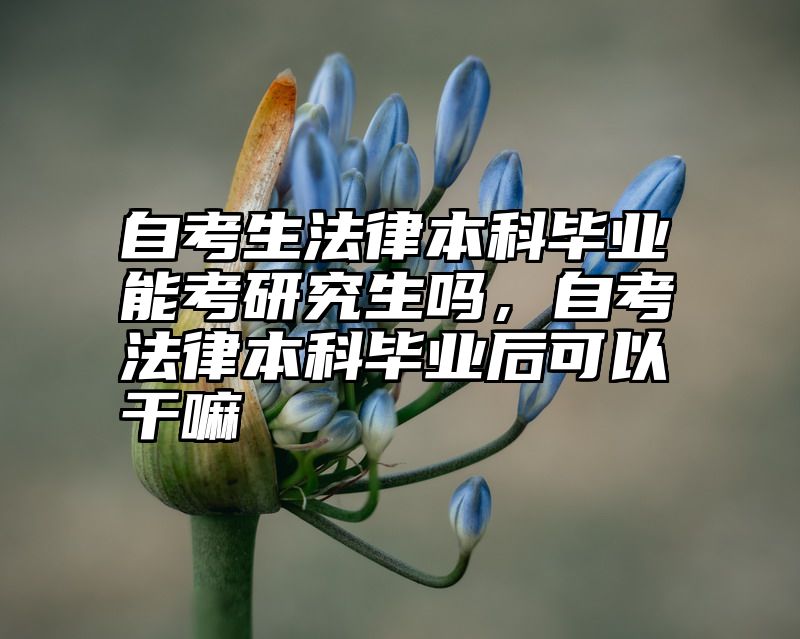 自考生法律本科毕业能考研究生吗,自考法律本科毕业后可以干嘛