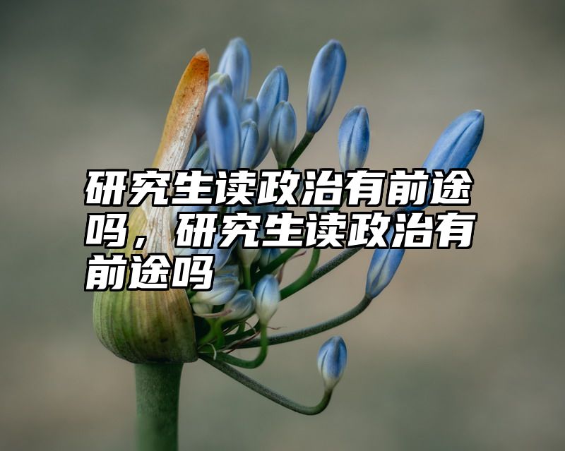 研究生读政治有前途吗,研究生读政治有前途吗