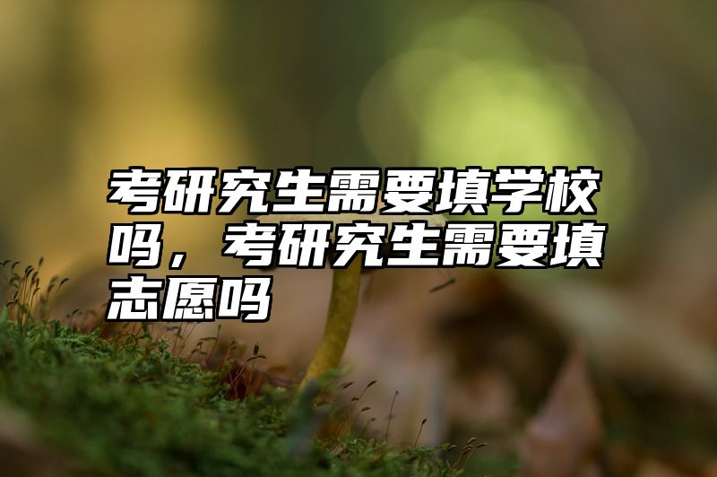 考研究生需要填学校吗,考研究生需要填志愿吗