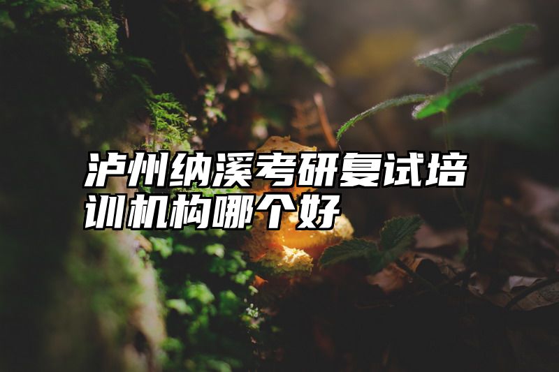 泸州纳溪考研复试培训机构哪个好