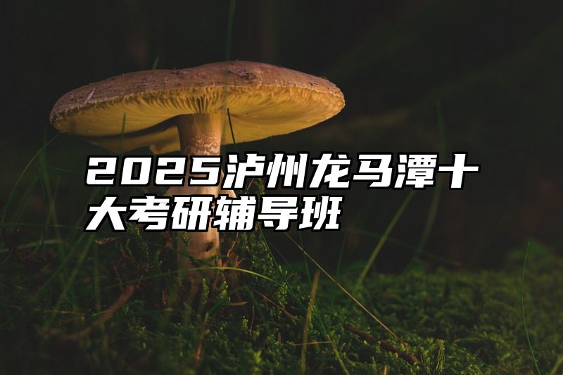 2025泸州龙马潭十大考研辅导班