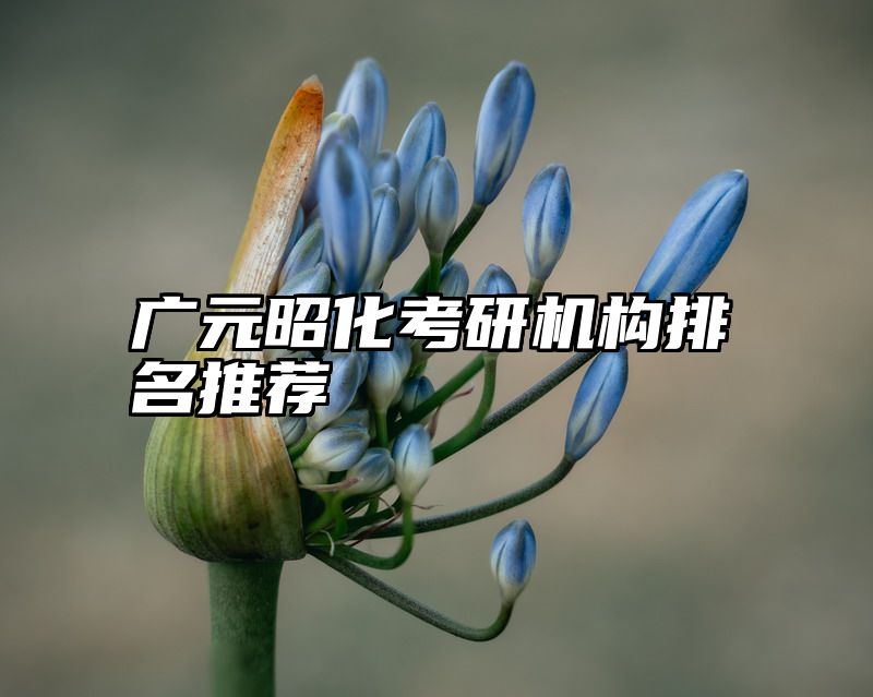 广元昭化考研机构排名推荐