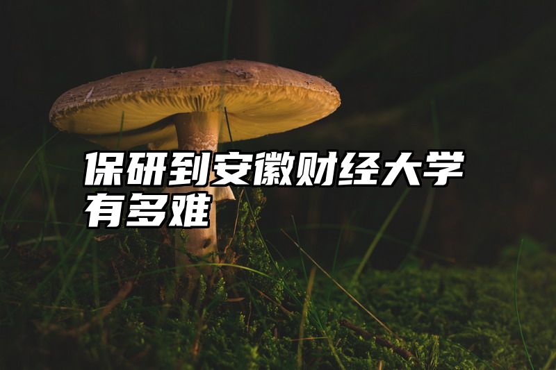 点击查看《保研到安徽财经大学有多难》全文