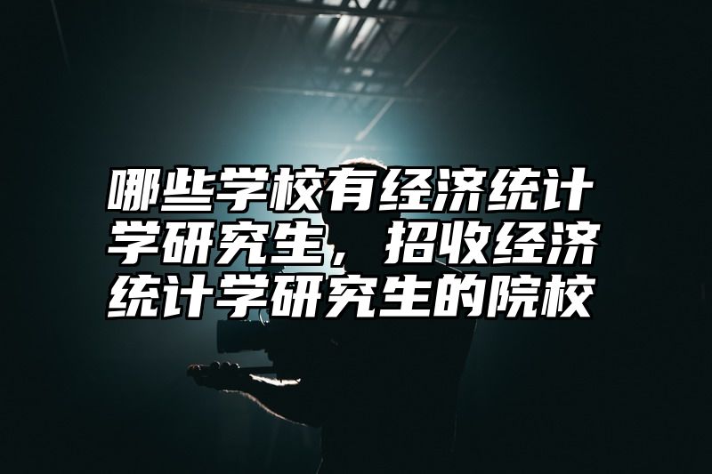 哪些学校有经济统计学研究生,招收经济统计学研究生的院校