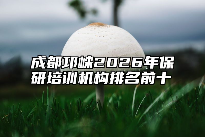 成都邛崃2026年保研培训机构排名前十