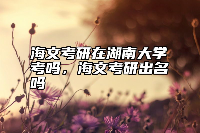 海文考研在湖南大学考吗,海文考研出名吗