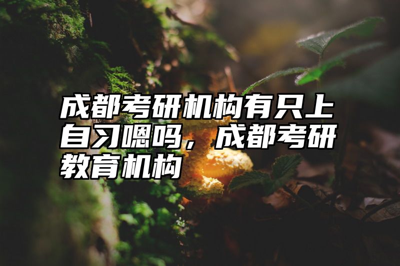 成都考研机构有只上自习嗯吗,成都考研教育机构