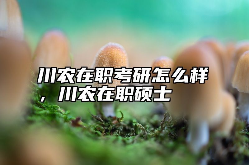 点击查看《川农在职考研怎么样，川农在职硕士》全文