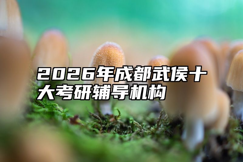 2026年成都武侯十大考研辅导机构