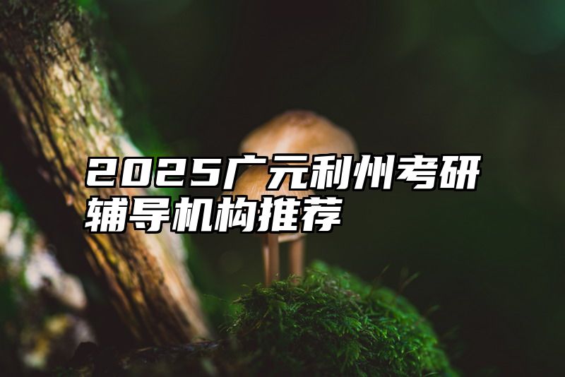 2025广元利州考研辅导机构推荐
