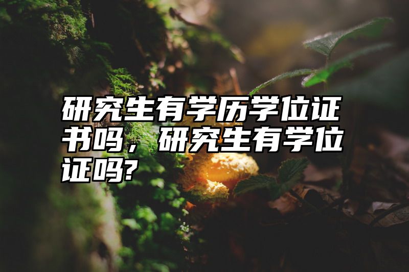 研究生有学历学位证书吗,研究生有学位证吗?