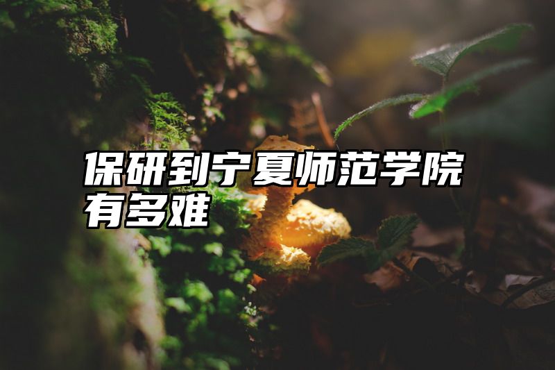 保研到宁夏师范学院有多难
