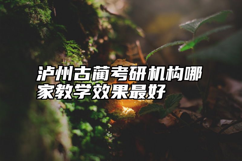 泸州古蔺考研机构哪家教学效果最好