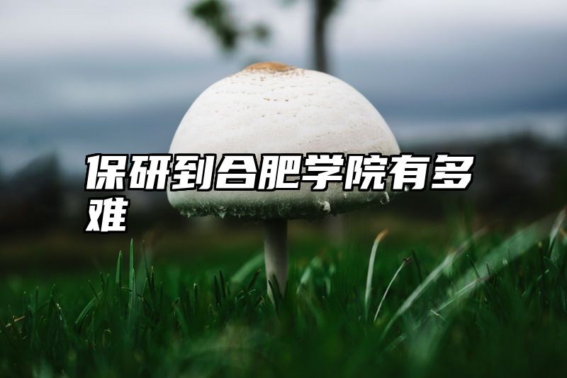 点击查看《保研到合肥学院有多难》全文
