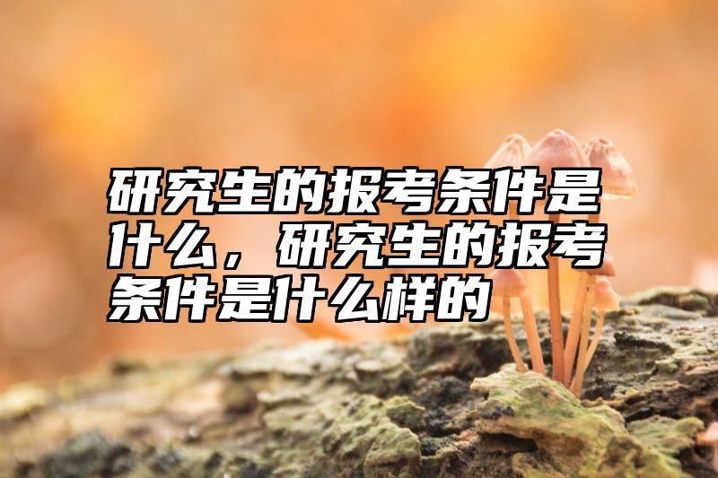 研究生的报考条件是什么，研究生的报考条件是什么样的