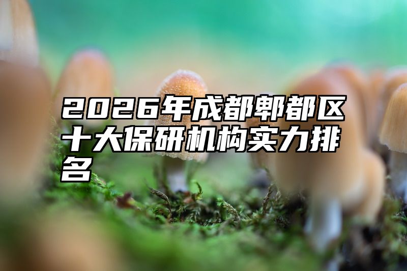 2026年成都郫都区十大保研机构实力排名