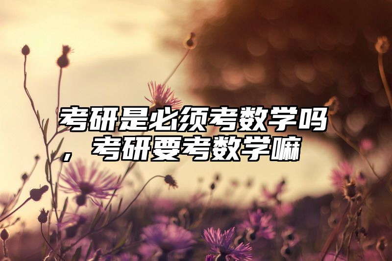 考研是必须考数学吗,考研要考数学嘛
