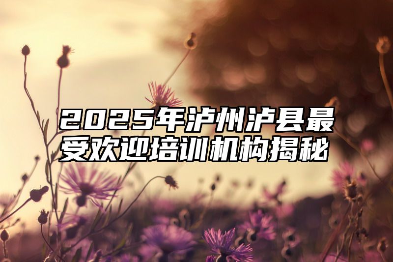 2025年泸州泸县最受欢迎培训机构揭秘