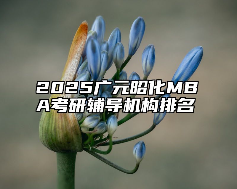 点击查看《2025广元昭化MBA考研辅导机构排名》全文
