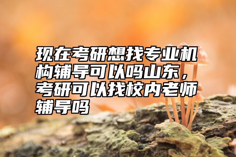 点击查看《现在考研想找专业机构辅导可以吗山东，考研可以找校内老师辅导吗》全文
