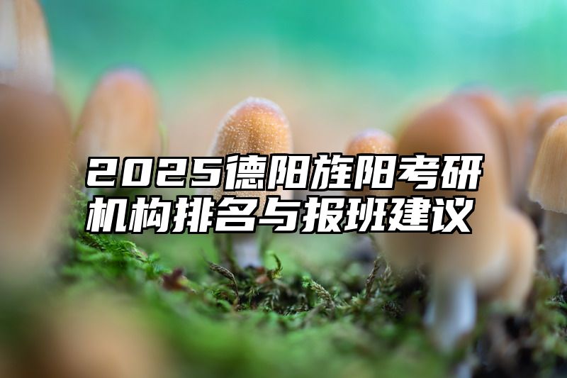 2025德阳旌阳考研机构排名与报班建议