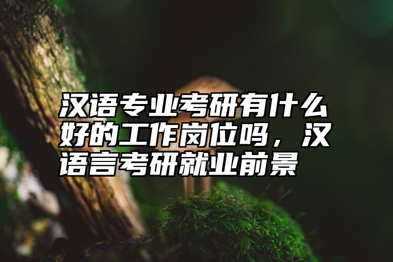 汉语专业考研有什么好的工作岗位吗,汉语言考研就业前景
