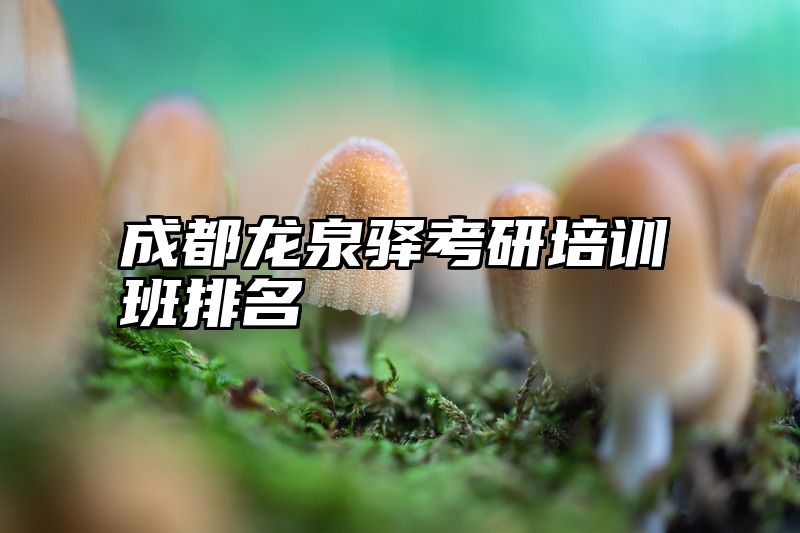 成都龙泉驿考研培训班排名
