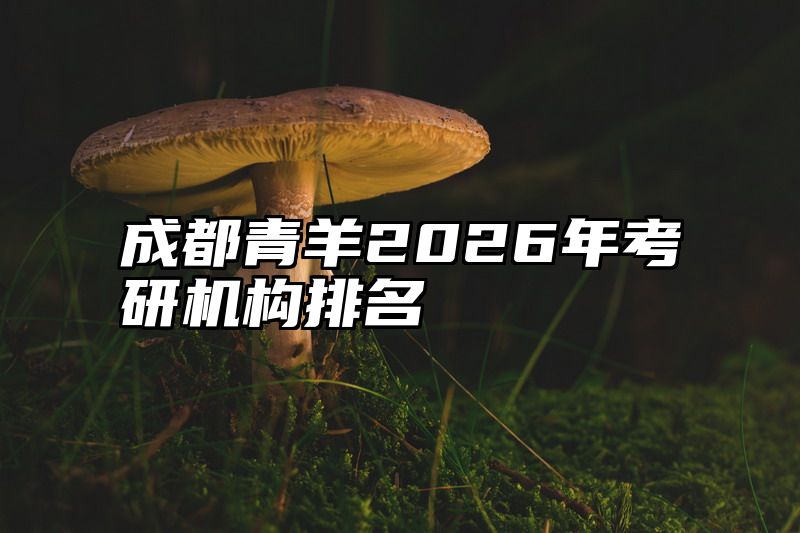 成都青羊2026年考研机构排名
