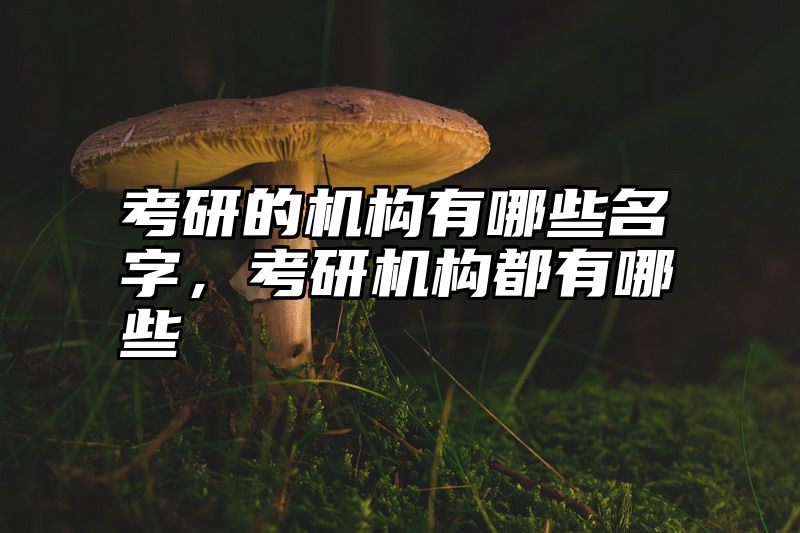 考研的机构有哪些名字，考研机构都有哪些