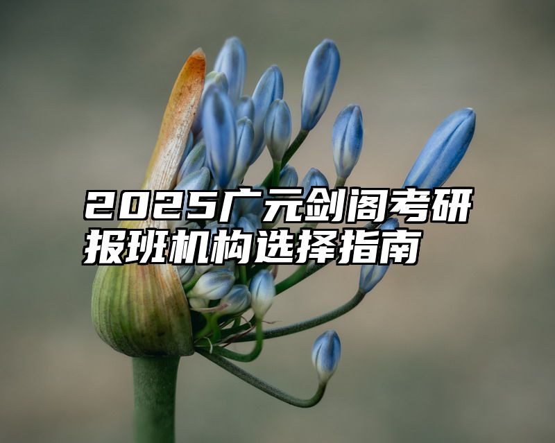 2025广元剑阁考研报班机构选择指南