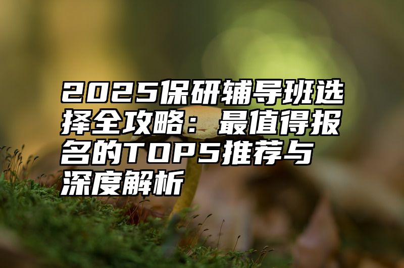 2025保研辅导班选择全攻略:最值得报名的TOP5推荐与深度解析
