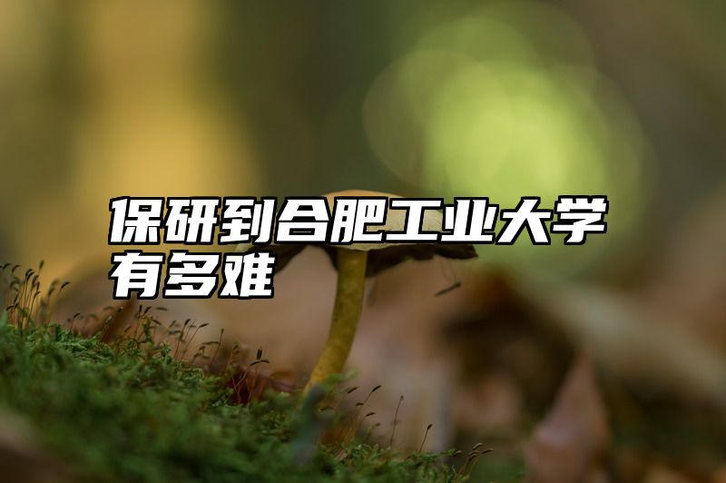 保研到合肥工业大学有多难