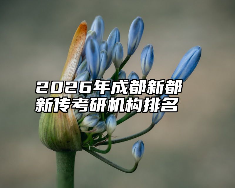 2026年成都新都新传考研机构排名