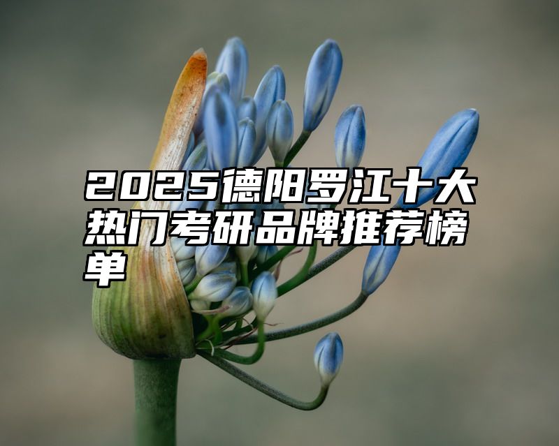 点击查看《2025德阳罗江十大热门考研品牌推荐榜单》全文