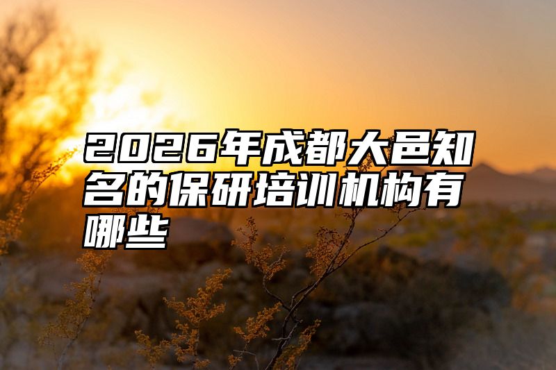 2026年成都大邑知名的保研培训机构有哪些