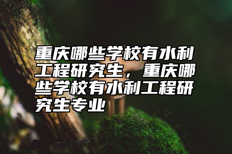重庆哪些学校有水利工程研究生，重庆哪些学校有水利工程研究生专业