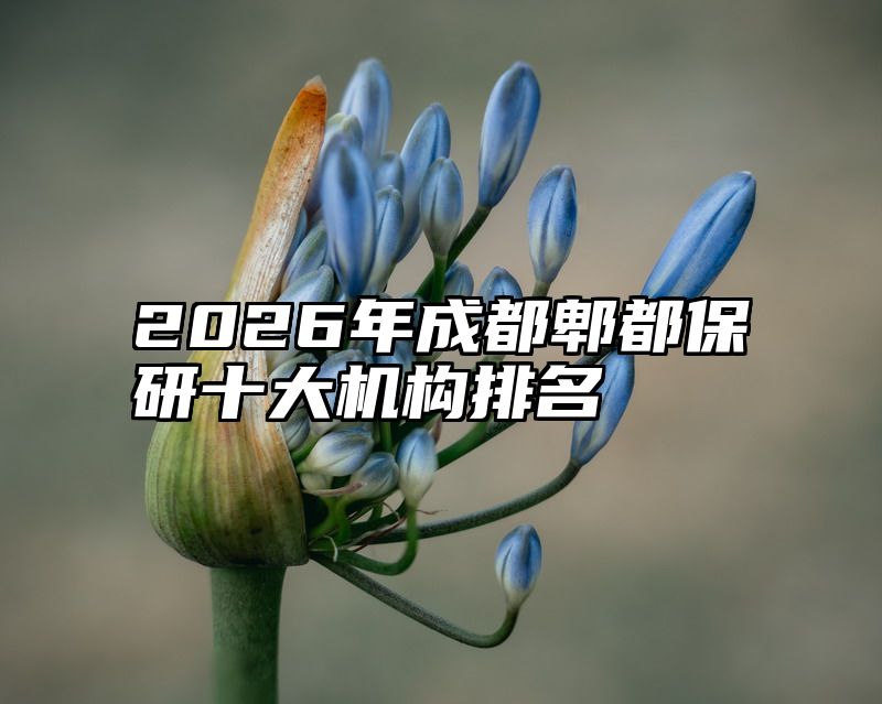 2026年成都郫都保研十大机构排名
