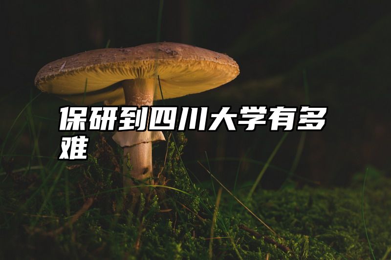 点击查看《保研到四川大学有多难》全文