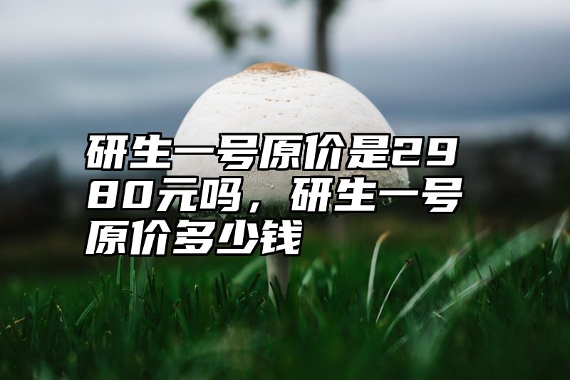 研生一号原价是2980元吗,研生一号原价多少钱