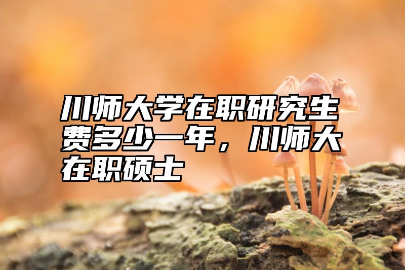 点击查看《川师大学在职研究生费多少一年，川师大在职硕士》全文