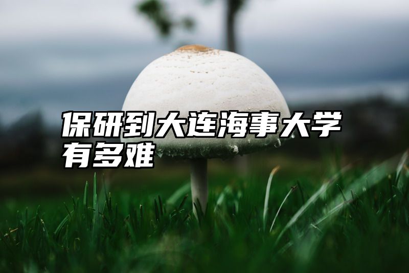 保研到大连海事大学有多难
